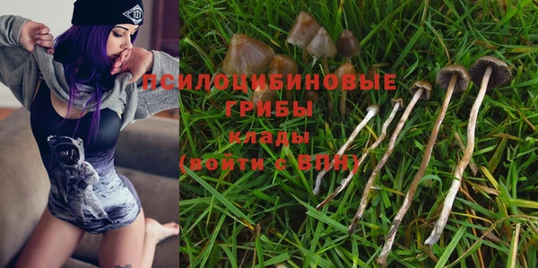 гашик Алексеевка