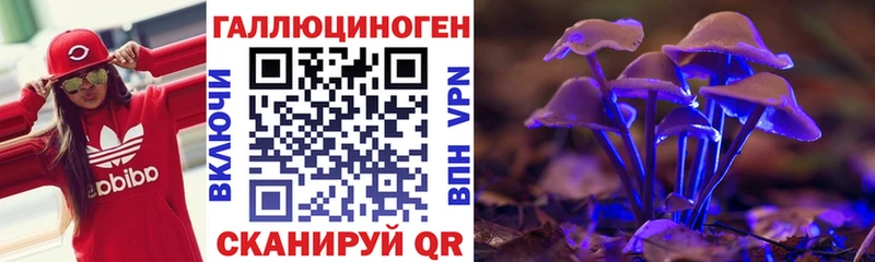 Купить где  Урай  Псилоцибиновые грибы Psilocybe 